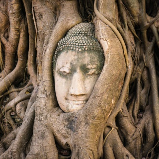 South East Asia